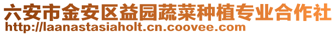 六安市金安區(qū)益園蔬菜種植專業(yè)合作社