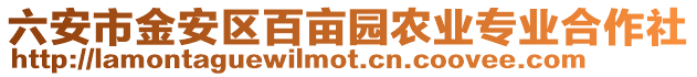 六安市金安區(qū)百畝園農(nóng)業(yè)專業(yè)合作社