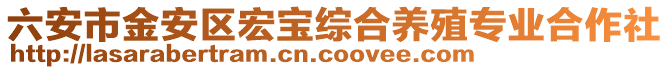 六安市金安區(qū)宏寶綜合養(yǎng)殖專業(yè)合作社