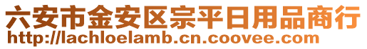 六安市金安區(qū)宗平日用品商行