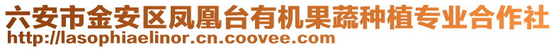 六安市金安區(qū)鳳凰臺有機果蔬種植專業(yè)合作社