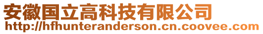 安徽國立高科技有限公司