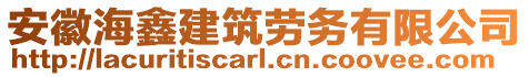 安徽海鑫建筑勞務(wù)有限公司