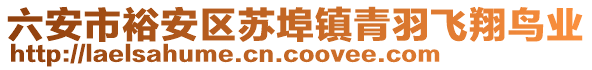 六安市裕安區(qū)蘇埠鎮(zhèn)青羽飛翔鳥業(yè)