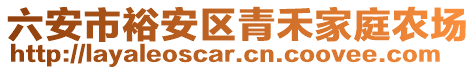 六安市裕安區(qū)青禾家庭農(nóng)場