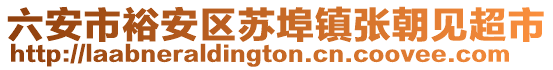 六安市裕安區(qū)蘇埠鎮(zhèn)張朝見(jiàn)超市