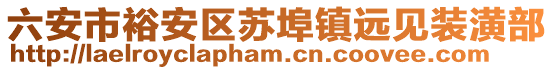 六安市裕安區(qū)蘇埠鎮(zhèn)遠(yuǎn)見裝潢部