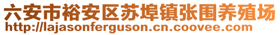 六安市裕安區(qū)蘇埠鎮(zhèn)張圍養(yǎng)殖場