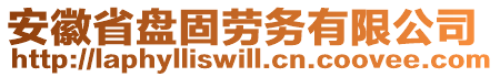 安徽省盤固勞務有限公司