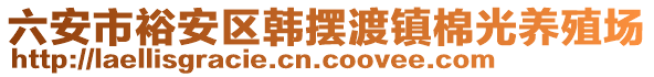 六安市裕安區(qū)韓擺渡鎮(zhèn)棉光養(yǎng)殖場