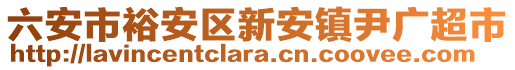 六安市裕安區(qū)新安鎮(zhèn)尹廣超市