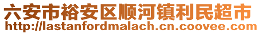 六安市裕安區(qū)順河鎮(zhèn)利民超市