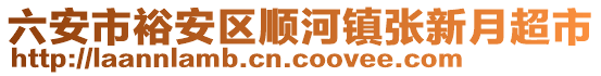 六安市裕安區(qū)順河鎮(zhèn)張新月超市