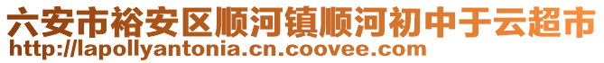 六安市裕安區順河鎮順河初中于云超市