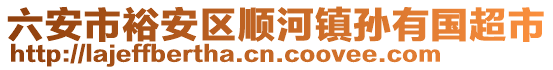 六安市裕安區(qū)順河鎮(zhèn)孫有國超市