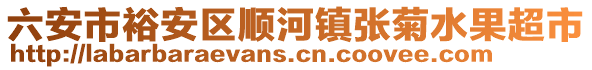 六安市裕安區(qū)順河鎮(zhèn)張菊水果超市