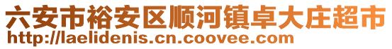 六安市裕安區(qū)順河鎮(zhèn)卓大莊超市