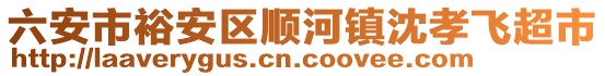 六安市裕安區(qū)順河鎮(zhèn)沈孝飛超市