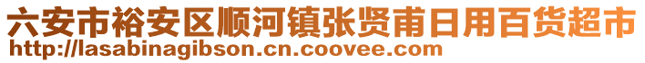 六安市裕安區(qū)順河鎮(zhèn)張賢甫日用百貨超市