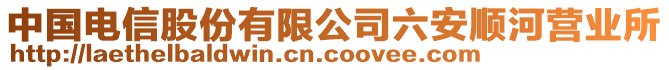 中國電信股份有限公司六安順河營業所