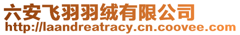 六安飛羽羽絨有限公司