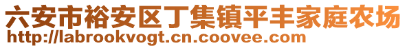 六安市裕安區(qū)丁集鎮(zhèn)平豐家庭農(nóng)場