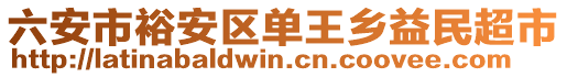 六安市裕安區(qū)單王鄉(xiāng)益民超市