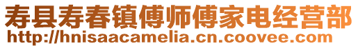 壽縣壽春鎮傅師傅家電經營部