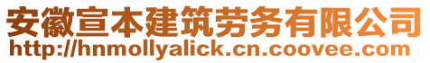 安徽宣本建筑勞務有限公司