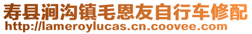 壽縣澗溝鎮毛恩友自行車修配