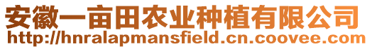 安徽一畝田農業種植有限公司