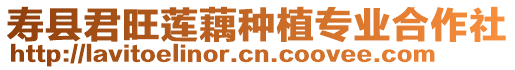 壽縣君旺蓮藕種植專業合作社