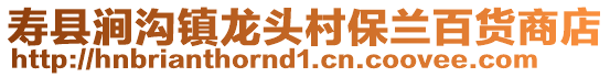 壽縣澗溝鎮(zhèn)龍頭村保蘭百貨商店