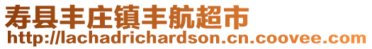 壽縣豐莊鎮豐航超市