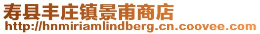 壽縣豐莊鎮景甫商店