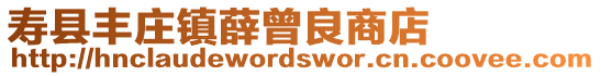 壽縣豐莊鎮薛曾良商店