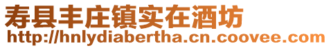 壽縣豐莊鎮實在酒坊