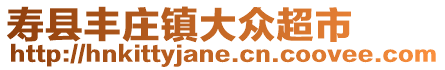 壽縣豐莊鎮大眾超市