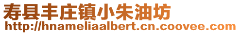 壽縣豐莊鎮小朱油坊