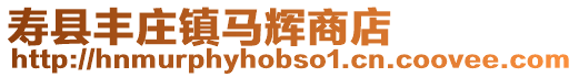 壽縣豐莊鎮(zhèn)馬輝商店