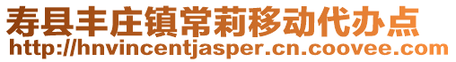 壽縣豐莊鎮常莉移動代辦點