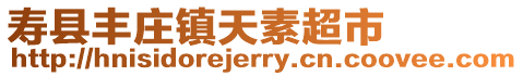 壽縣豐莊鎮天素超市