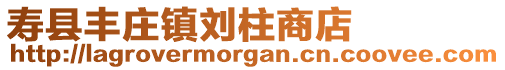 壽縣豐莊鎮劉柱商店