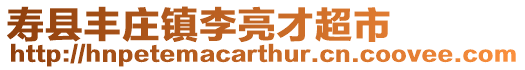 壽縣豐莊鎮李亮才超市