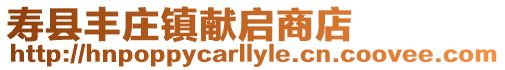 壽縣豐莊鎮獻啟商店