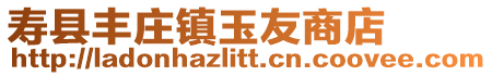 壽縣豐莊鎮玉友商店