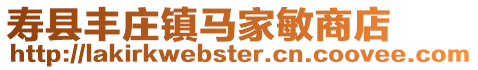 壽縣豐莊鎮(zhèn)馬家敏商店