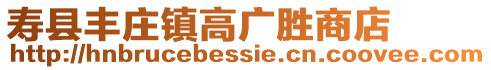壽縣豐莊鎮高廣勝商店