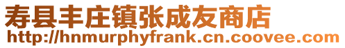 壽縣豐莊鎮張成友商店