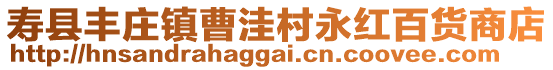 壽縣豐莊鎮曹洼村永紅百貨商店